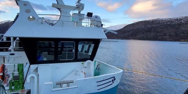 Vi gjennomfører fullstendig og periodisk kontroll i Lofoten og Vesterålen mellom 27.03 - 05.04